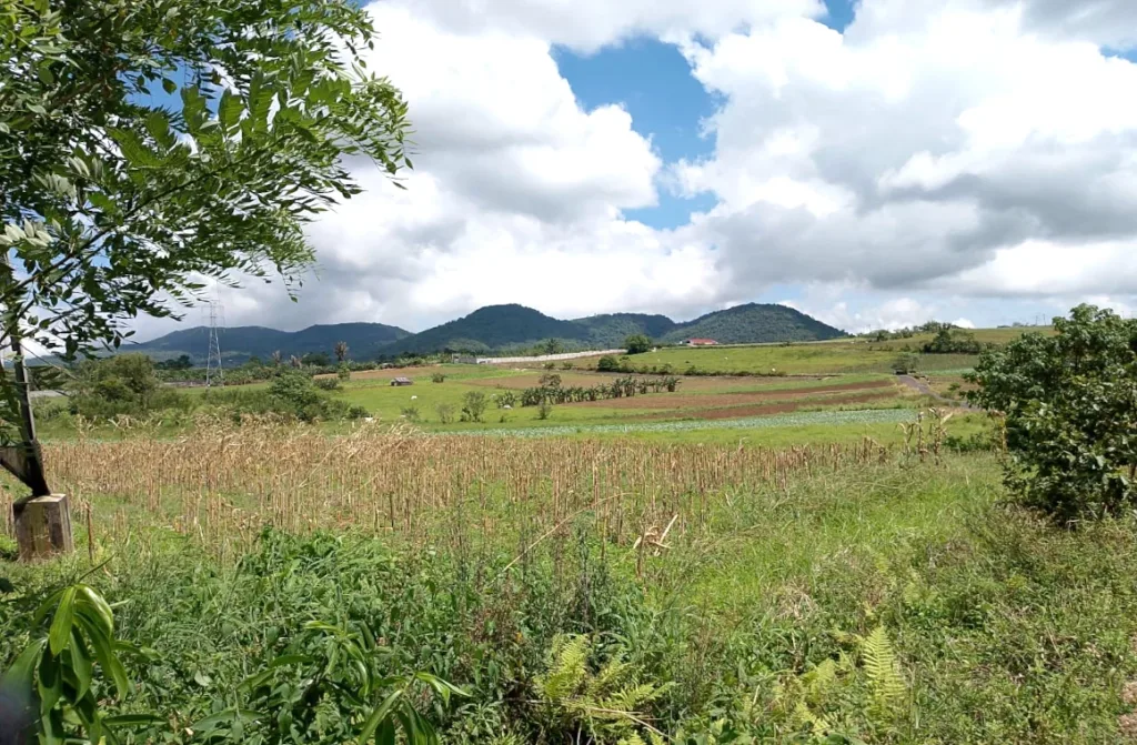 Hamparan lahan pertanian di Bukit Wawo dengan view gunung dan pegunungan di sekitarnya.