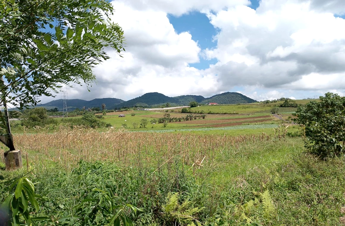 Hamparan lahan pertanian di Bukit Wawo