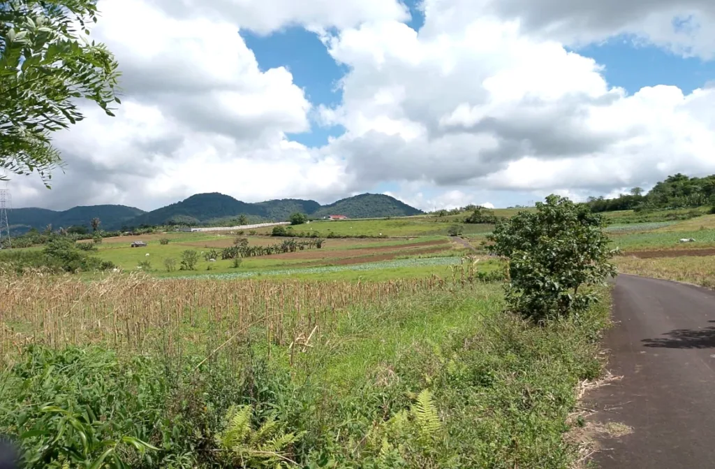 Hamparan lahan pertanian di Bukit Wawo dengan view gunung dan pegunungan di sekitarnya.